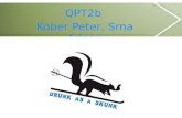 QPT2b Kober Peter, Srna Adnan. Team 3Dler : Dominik Mayer Patrick Gündera Wolfgang Windischhofer Coder: Adnan Srna Peter Kober qpt2b - mmt08/SrnA,KobP.