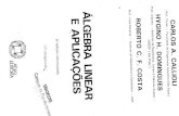 Algebra Linear e Aplicacoes - Callioli.pdf
