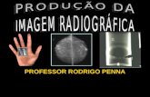 PROFESSOR RODRIGO PENNA. Professor Rodrigo Penna S­tio na internet:   Blog: