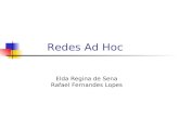 Elda Regina de Sena Rafael Fernandes Lopes Redes Ad Hoc.