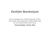 eFinancials 2010 Peter Ras - Eerlijke Bankwijzer