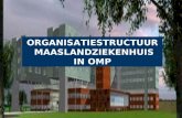Organisatiestructuur Mzk In Omp 2 3 A