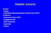 Gastric Cancer 09