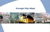 Euregio Rijn-Waal. Arbeitsgebiet Euregio Rhein-Waal Werkgebied Euregio Rijn-Waal Fläche/Oppervlakte: 8446 km² Einwohnerzahl/ aantal inwoners: 3.7 Mil.