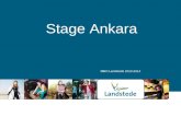 Stage Ankara MBO Landstede 2013-2014. Leonardo Da Vinci •Is het programma van de ministeries OCW en LNV. Dankzij een subsidie kan een stage van studenten.