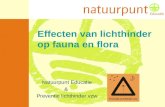 Effecten van lichthinder op fauna en flora Natuurpunt Educatie & Preventie lichthinder vzw.