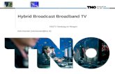 Hybrid Broadcast Broadband TV HbbTV Vandaag en Morgen Rob Koenen (rob.koenen@tno.nl)