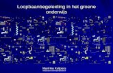 Loopbaanbegeleiding in het groene onderwijs Marinka Kuijpers info@carpe-carriereperspectief.nl.