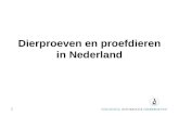 Dierproeven en proefdieren in Nederland 1. Inhoud •Wat is een dierproef •Waarom doen we dierproeven •Dierproeven voor dieren •Dierproeven & cosmetica.