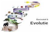 Basisstof 6 Evolutie De meeste biologen geloven dat: Andere mensen geloven in het scheppingsverhaal van de bijbel (Genesis) 1…… alle dier- en plantensoorten.