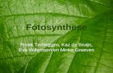 Fotosynthese Freek Terheggen, Kaz de Bruijn, Eva Willemsen en Minke Greeven.