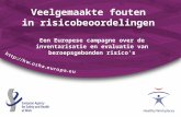 Een Europese campagne over de inventarisatie en evaluatie van beroepsgebonden risico's Veelgemaakte fouten in risicobeoordelingen.
