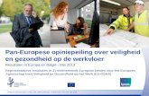 Pan-Europese opiniepeiling over veiligheid en gezondheid op de werkvloer Resultaten in Europa en België - Mei 2013 Representatieve resultaten in 31 deelnemende.