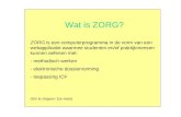 Wat is ZORG? ZORG is een computerprogramma in de vorm van een webapplicatie waarmee studenten en/of praktijkmensen kunnen oefenen met: - methodisch werken.