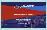 Deltalinqs Energy Forum Visie & Speerpunten 2011 – 2014 november 2010.