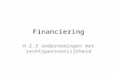 Financiering H.2.3 ondernemingen met rechtspersoonlijkheid