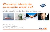 Wanneer bloeit de economie weer op? Visie op de Nederlandse economie Dimitry Fleming Economisch Bureau Den Haag, 15 oktober 2013.