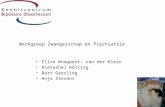 Werkgroep Zwangerschap en Psychiatrie •Elise Knoppert- van der Klein •Pieternel Kölling •Bart Geerling •Anja Stevens.
