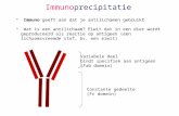 Immunoprecipitatie • Immuno geeft aan dat je antilichamen gebruikt • Wat is een antilichaam? Eiwit dat in een dier wordt geproduceerd als reactie op antigeen.