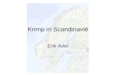Krimp in Scandinavië Erik Ader. NoorwegenNederland Bevolkingsdichtheid16/km²488/km² Grootste lengte3000 km300 km Afstand tussen de grote steden500 km50.