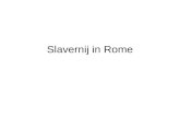 Slavernij in Rome. Slaven •Twee fasen: –ca. 150 v.Chr. - 50 n.Chr.: uit veroverde gebieden –ca. 50 - 400 n.Chr. vernae.