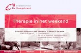 Therapie in het weekend Intensief oefenen na een beroerte, 7 dagen in de week Eugénie Brinkhof • fysiotherapeut • docent in opleiding, neurorevalidatie.