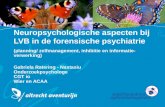 Neuropsychologische aspecten bij LVB in de forensische psychiatrie (planning/ zelfmanagement, inhibitie en informatie- verwerking) Gabriela Ratering -