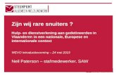 Zijn wij rare snuiters ? Hulp- en dienstverlening aan gedetineerden in Vlaanderen in een nationale, Europese en internationale context WEVO introductievorming.