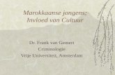 Marokkaanse jongens; Invloed van Cultuur Dr. Frank van Gemert Criminologie Vrije Universiteit, Amsterdam.
