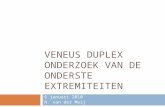 VENEUS DUPLEX ONDERZOEK VAN DE ONDERSTE EXTREMITEITEN 6 januari 2010 N. van der Meij.