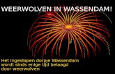 WEERWOLVEN IN WASSENDAM! Het ingeslapen dorpje Wassendam wordt sinds enige tijd belaagd door weerwolven.