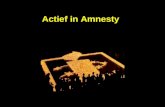 Actief in Amnesty. Amnesty Nijmegen is één van de grootste actieve groepen in Nederland. In deze stad zijn maar liefst 7 subgroepen die zich bezighouden.
