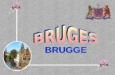 BRUGGE. Tussen de 7 e en 9 e eeuw ontstond op de oevers van het « Zwin » een kleine nederzetting. Rond deze « Burg », gebouwd door de graven van Vlaanderen,