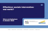 Effectieve sociale interventies: wat werkt? Wmo-werkplaatsen 8 oktober 2010.