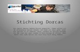 Stichting Dorcas Een aantal mensen hebben Dorcas opgericht. Samen willen zij de allerarmste mensen helpen. Dit doen zij door geld, maar ook spullen in.