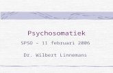 Psychosomatiek SPSO – 11 februari 2006 Dr. Wilbert Linnemans.