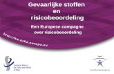 Gevaarlijke stoffen en risicobeoordeling Een Europese campagne over risicobeoordeling.