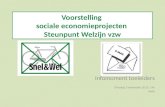 Voorstelling sociale economieprojecten Steunpunt Welzijn vzw Infomoment toeleiders Dinsdag 5 november 2013, 14u Aalst.