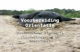 Voorbereiding Orientatie Hondenschool Eigenwijs Clickertraining in Amersfoort.