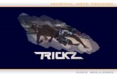 -Het ontstaan -Trickz vs Freerunning/ Parkour -Moves -Gatherings -Top Trickers -Waar staat Trickz nu -Twee korte filmpjes -Interesse?
