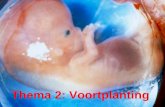 Thema 2: Voortplanting. Bs 3Hormonale regeling van de voortplanting De hypofyse is een hormoonklier en bevindt zich onderaan de hypothalamus, een deel.