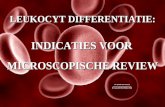 LEUKOCYT DIFFERENTIATIE: INDICATIES VOOR MICROSCOPISCHE REVIEW.