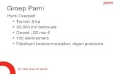 Groep Pami Pami Overpelt •Terrein 6 ha •30.000 m2 bebouwd •Omzet : 20 mio € •150 werknemers •Fabrikant kantoormeubelen, eigen productie.