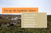Tot op de bodem: Veen • Wat is veen? • Laagveen • Hoogveen • Veen in de geologische tijdschaal.