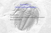Basisstof 7: Onderzoeksmethoden -Fossielen -Vergelijken van bouw van organismen -Biochemisch.