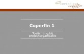 Coperfin 1 Toelichting bij projectorganisatie. p. 2Coperfin 1: Toelichting bij projectorganisatie Inhoudstafel >Inleiding >BPR-programma’s en netwerken.