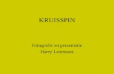 KRUISSPIN Fotografie en presentatie Harry Leurmans.
