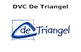 DVC De Triangel. Kinderen, jongeren en volwassenen Met een verstandelijke handicap Op hun levenspad ondersteunen En kansen bieden Is de kernopdracht van.