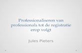 Professionaliseren van professionals tot de registratie erop volgt Jules Pieters.