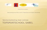 Talentontwikkeling staat centraal TOPSPORTSCHOOL SCHERMEN Samenwerking tussen Bloso, het KA Voskenslaan en de Vlaamse Schermbond.